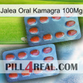 Oral Jelly Kamagra 100Mg 05